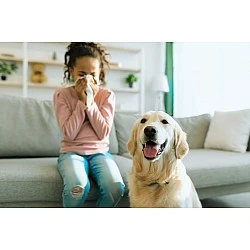 Cómo controlar y prevenir las alergias en el hogar: ácaros, polen, caspa de mascotas, etc.