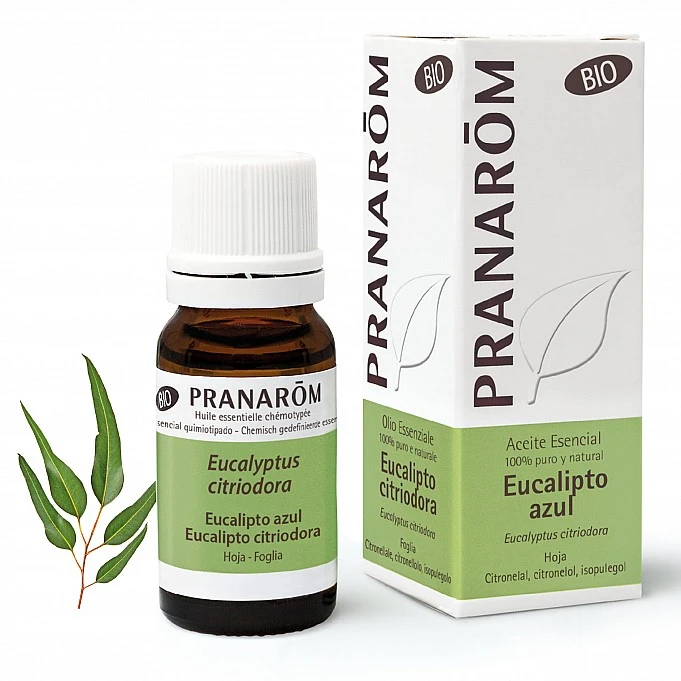 Pranarom Aceite Esencial Eucalip Azul Bio 10 ml comprar pranarom aceite esencial eucalip azul