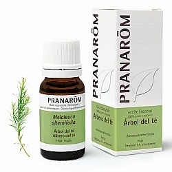 Pranarom árbol te 10 ml