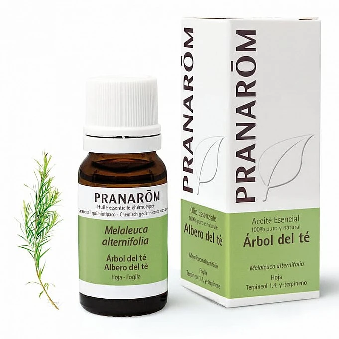 Pranarom árbol te Pranarom árbol te