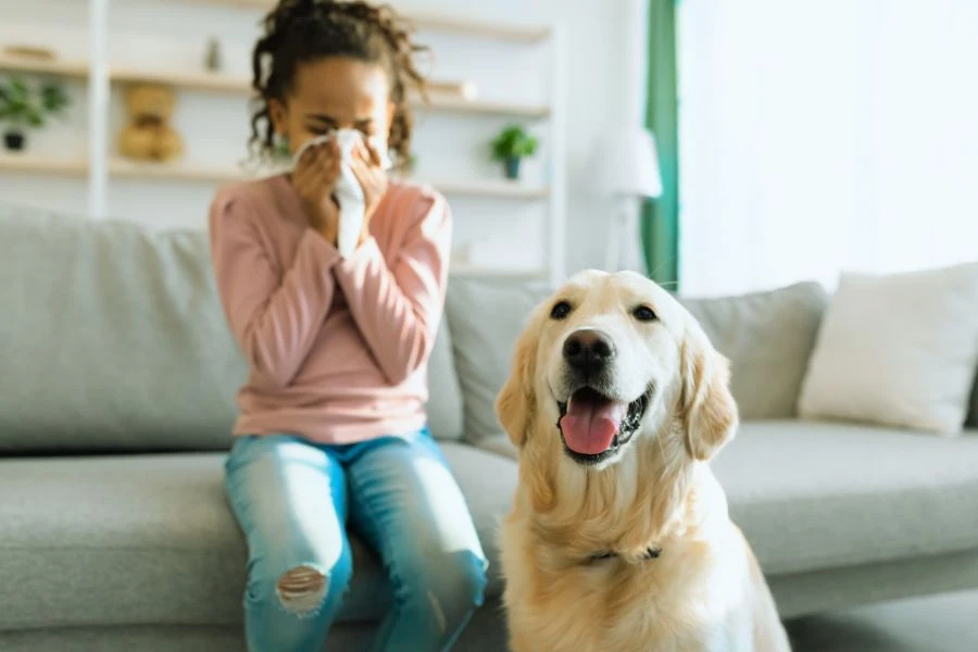 mujer alergica ácaros y mascota perro hogar