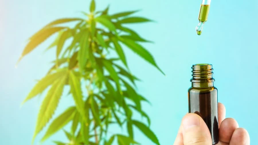 cbd cannabidol